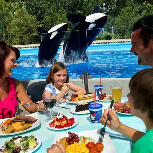 Ingresso Jantar com Orcas (Dine With Orcas) Adulto – SeaWorld Orlando – Mais Informações, Consulte Detalhes do Item – ADULTO (a partir de 10 anos) – Data de Utilização 15/02/2024